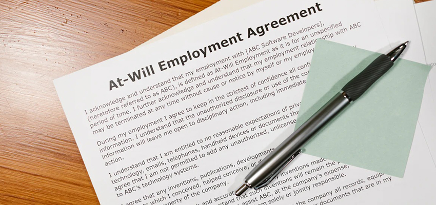 Employment Contract 2024